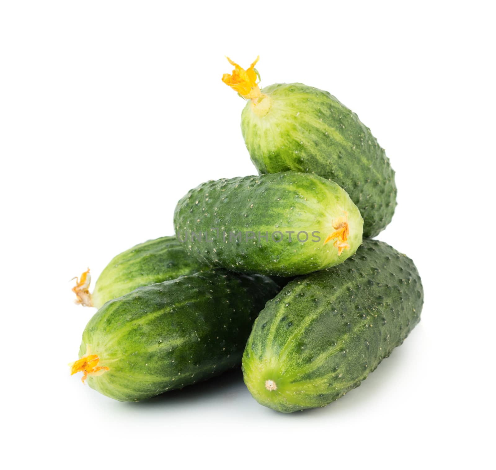 Fresh whole cucumbers isolated on white background