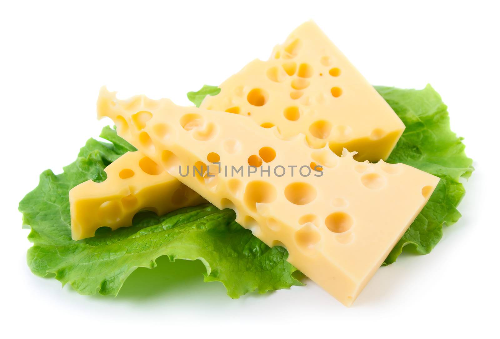 Cheese with green herb isolated on white background