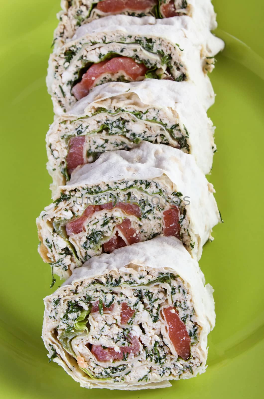 Salmon lavash roll on green plate
