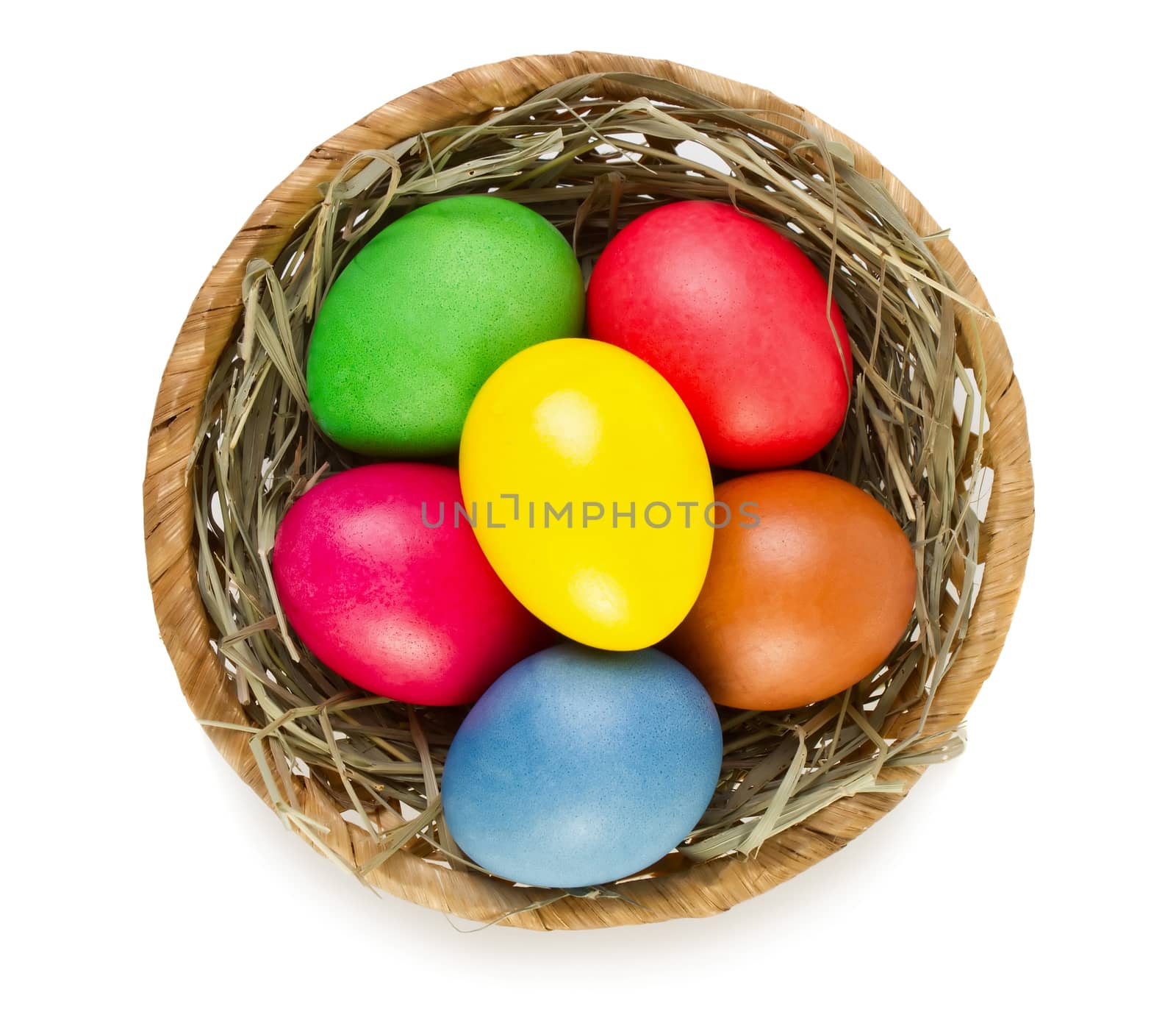 Easter eggs in nest isolated on white background