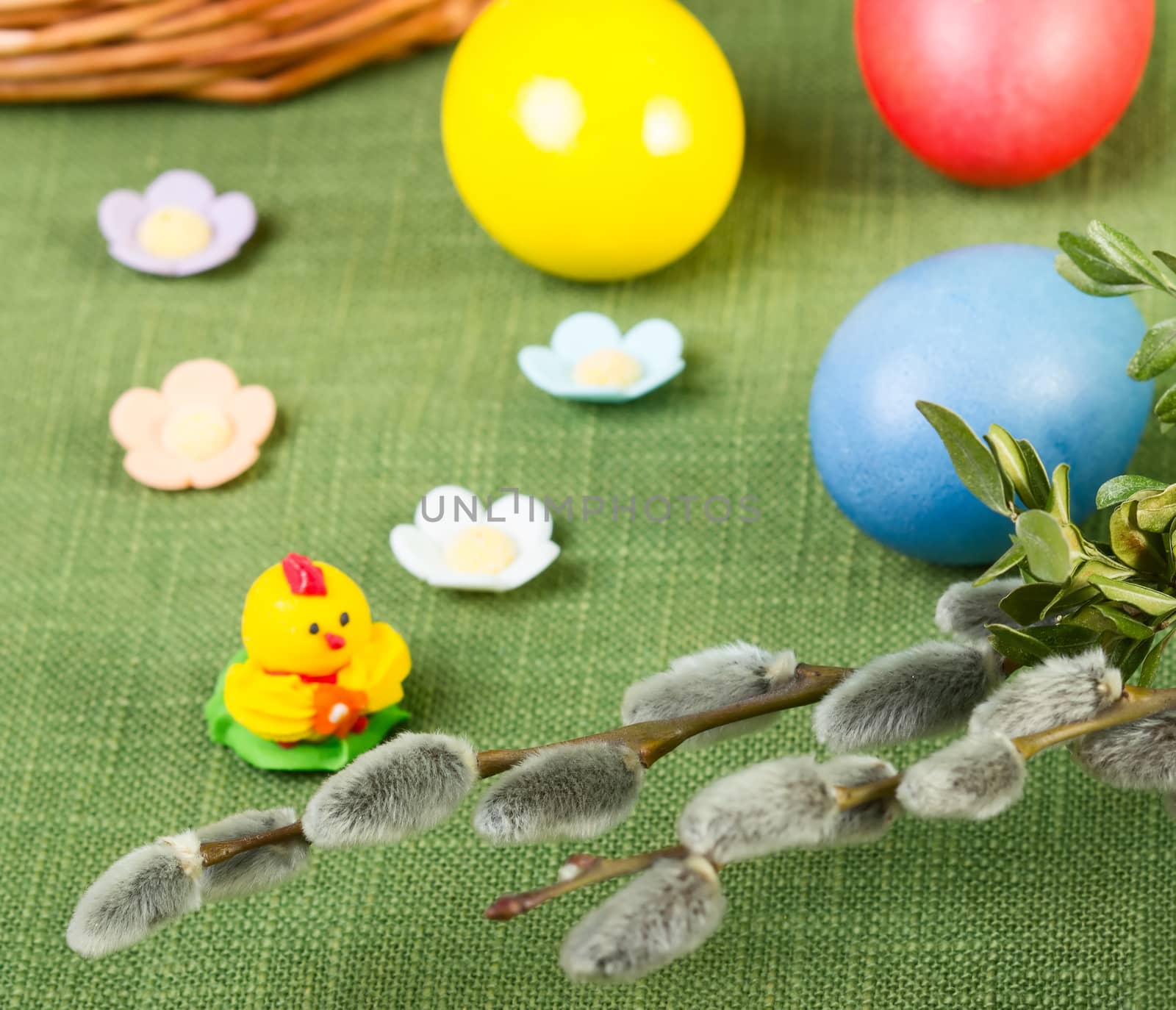 Pussy willow flower branch with easter eggs on green background