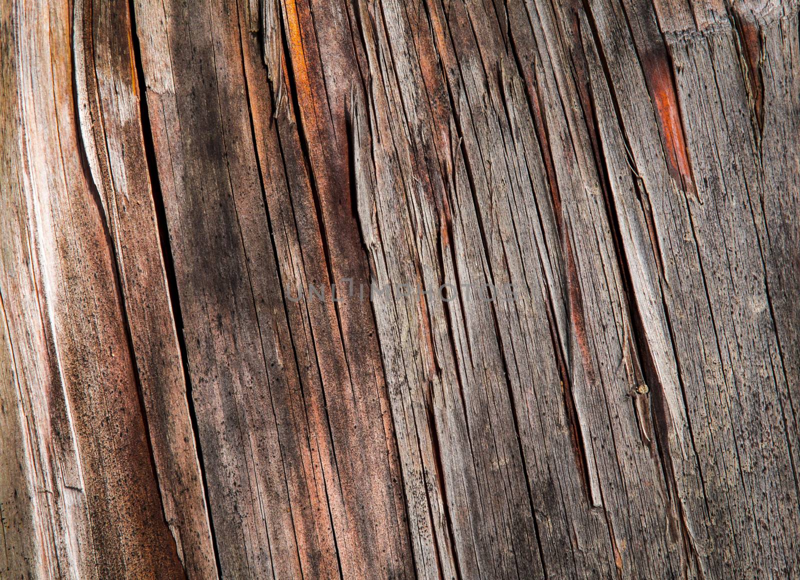 abstract background or texture eroded old wooden board