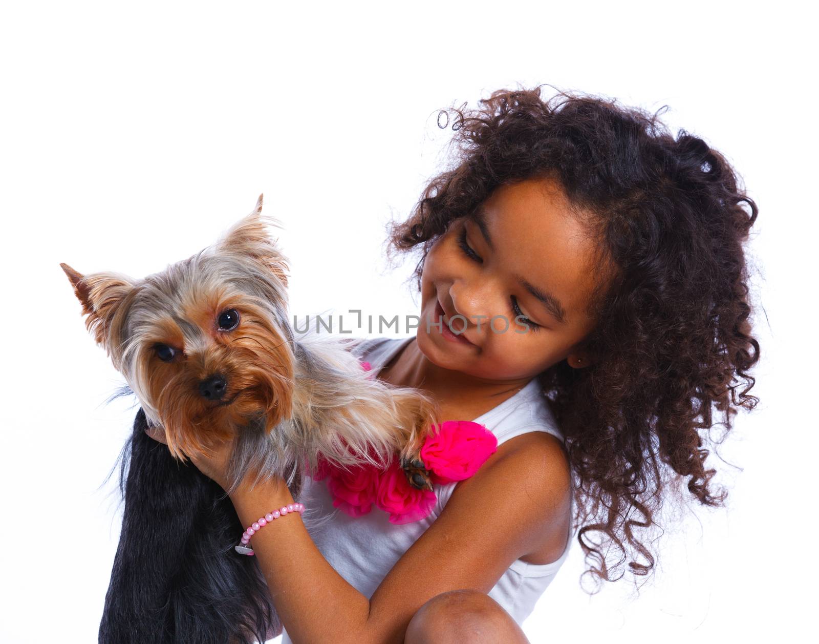 Portrait of cute little girl sitting with his puppy Yorkshire terrier smiling at camera on white background