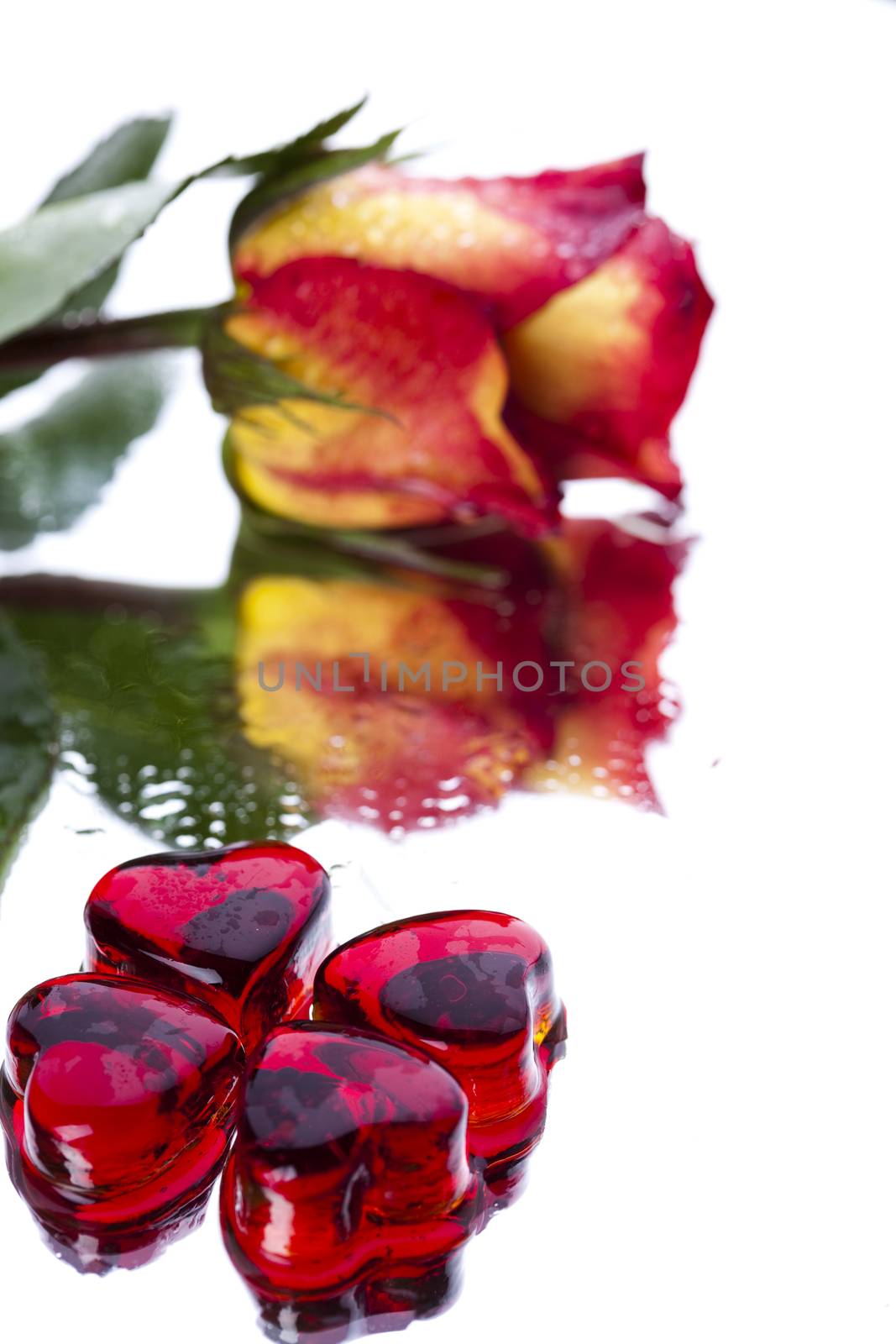 Red heart, romantic bright tone theme by JanPietruszka