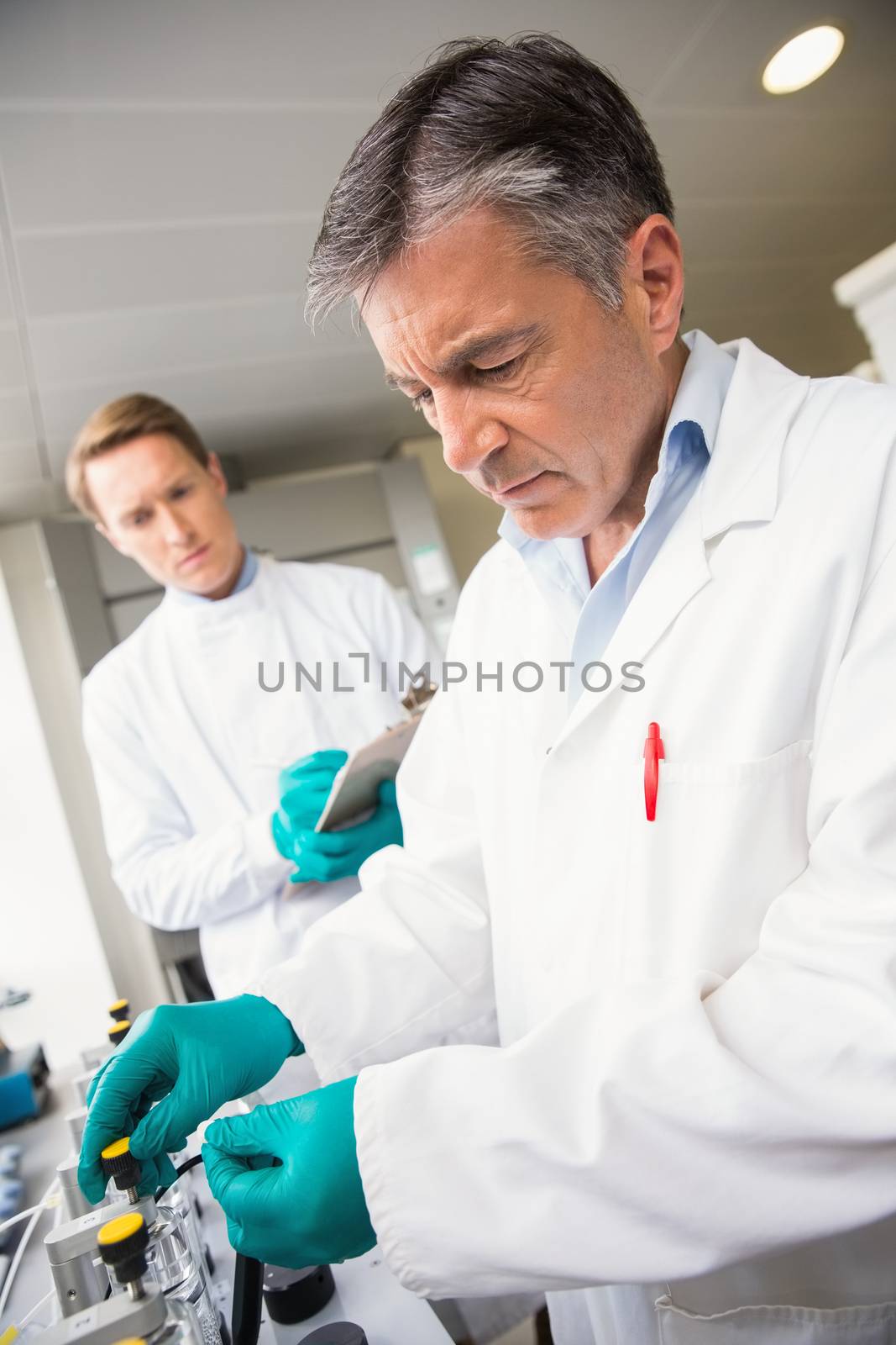 Team of scientists working together at the laboratory