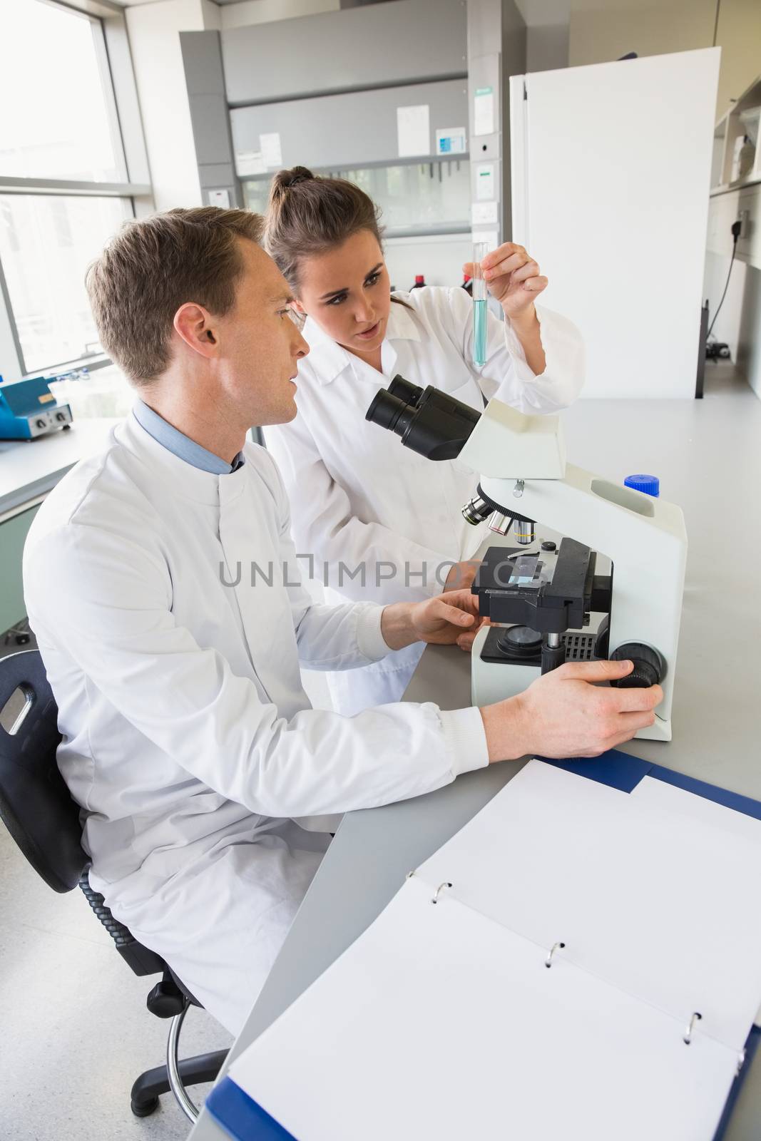 Young scientists working together at the laboratory