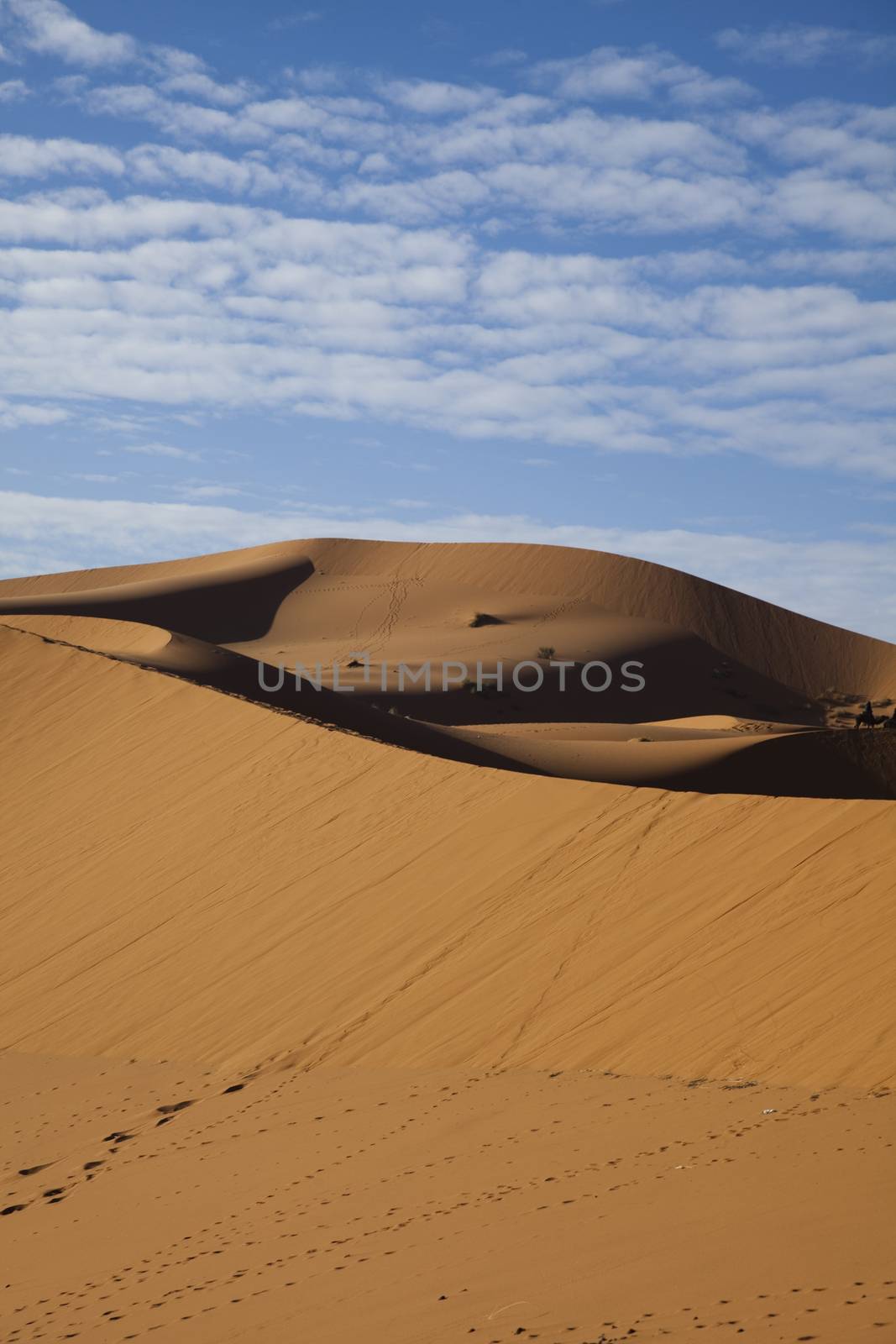 Sandscapes in the desert, colorful vibrant travel theme by JanPietruszka