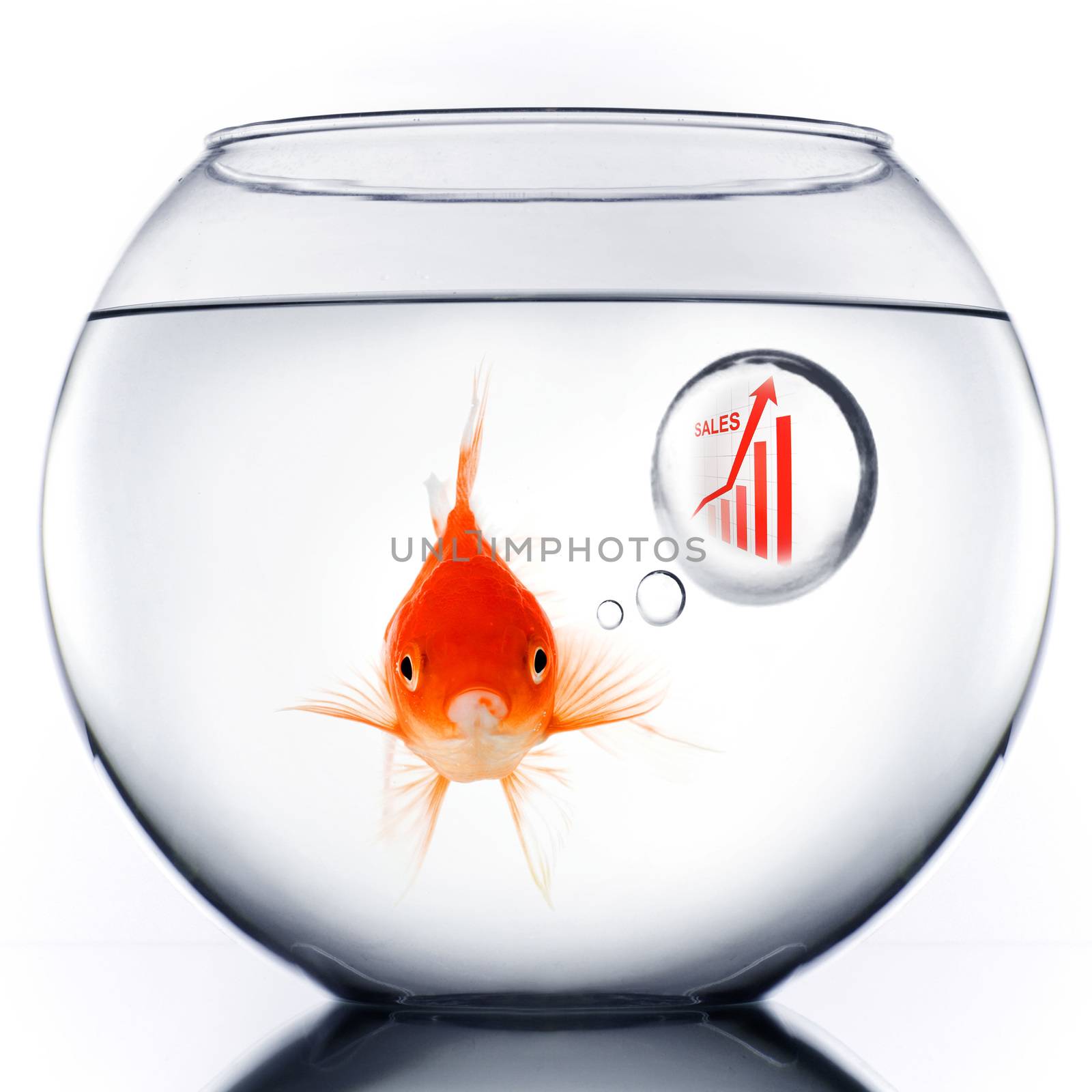 Smart Gold fish in bowl thinking about sales growth