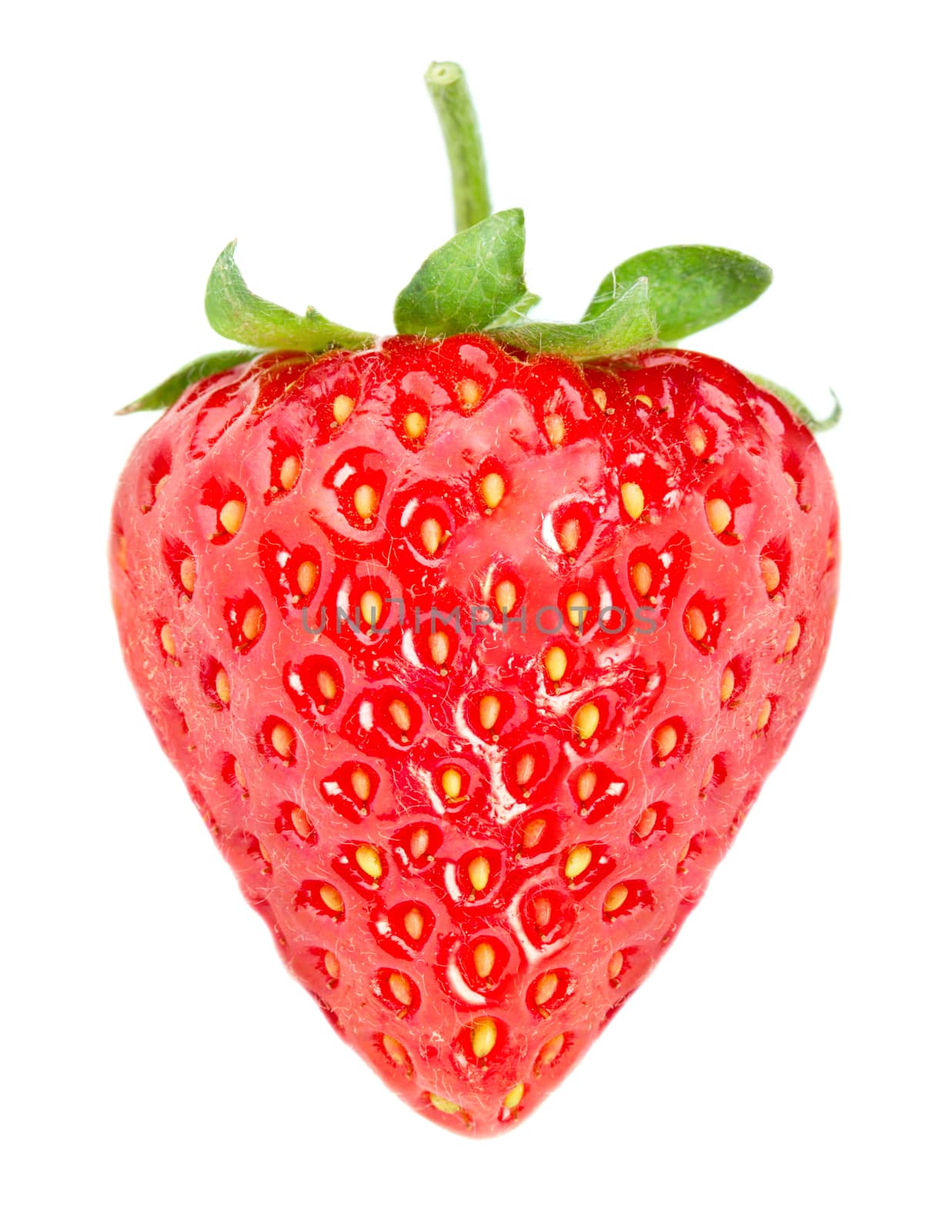 Strawberry by Valengilda
