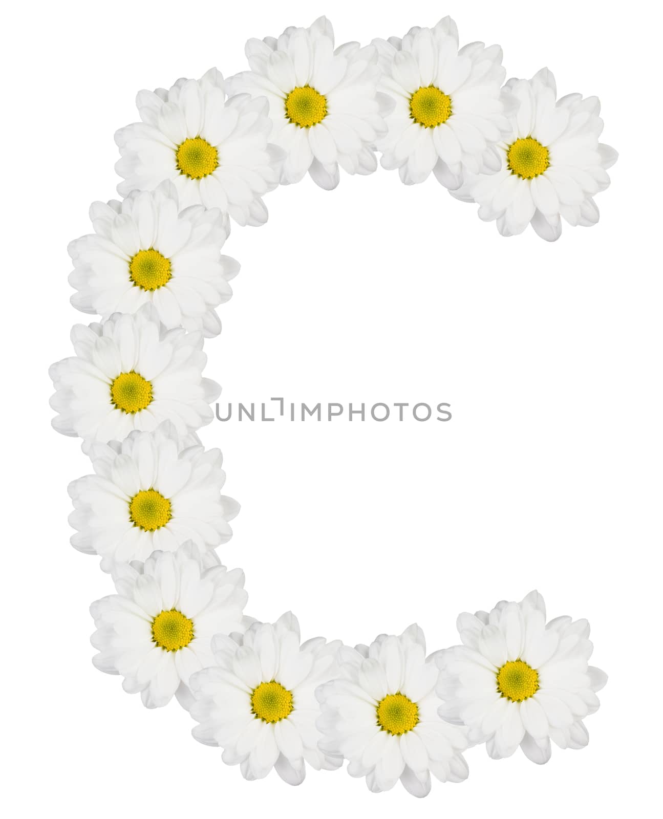 Letter C made from white flowers