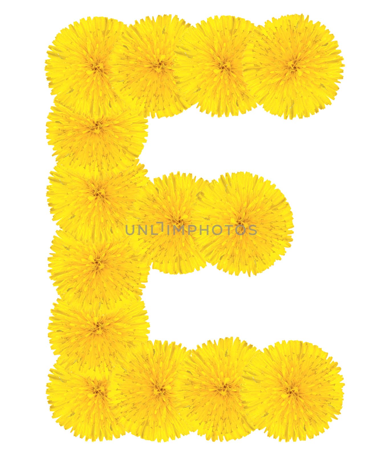 Letter E made from dandelions by Valengilda