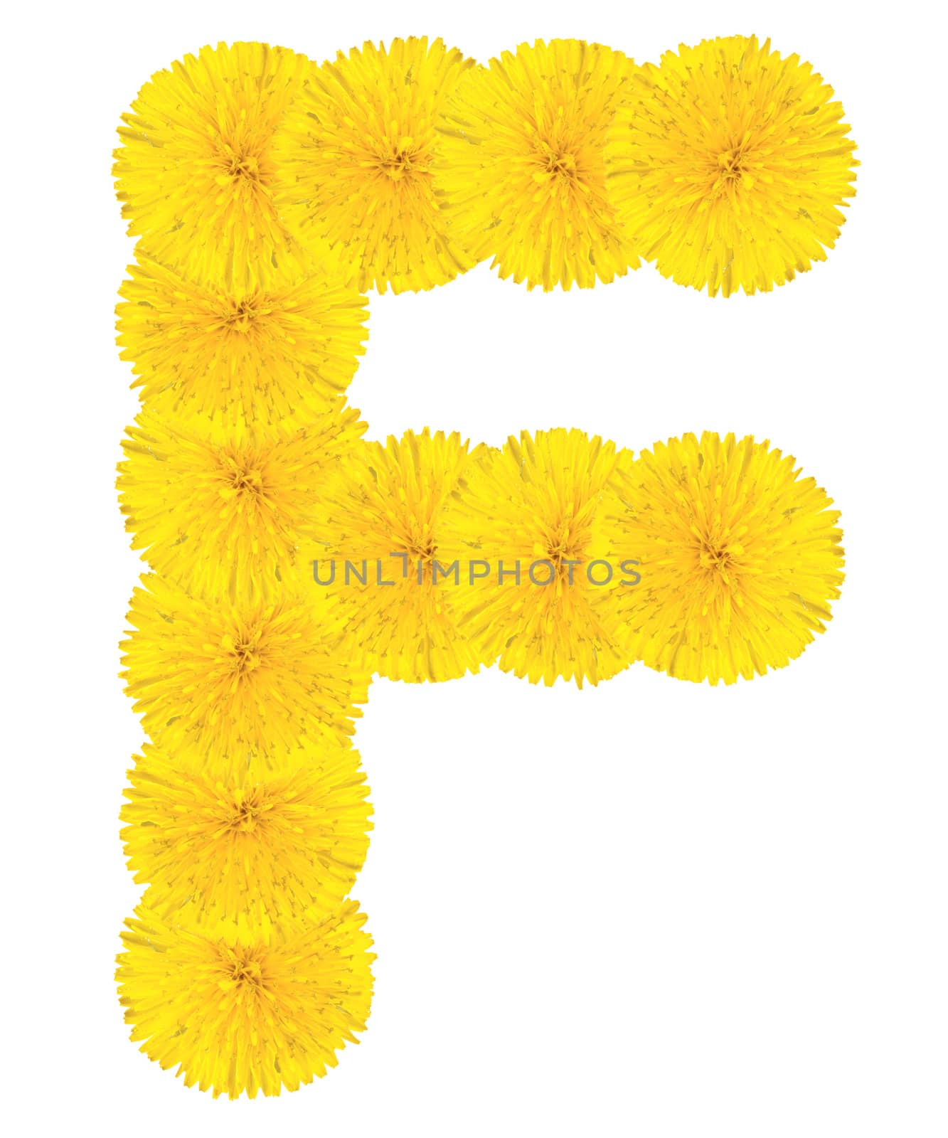 Letter F made from dandelions by Valengilda