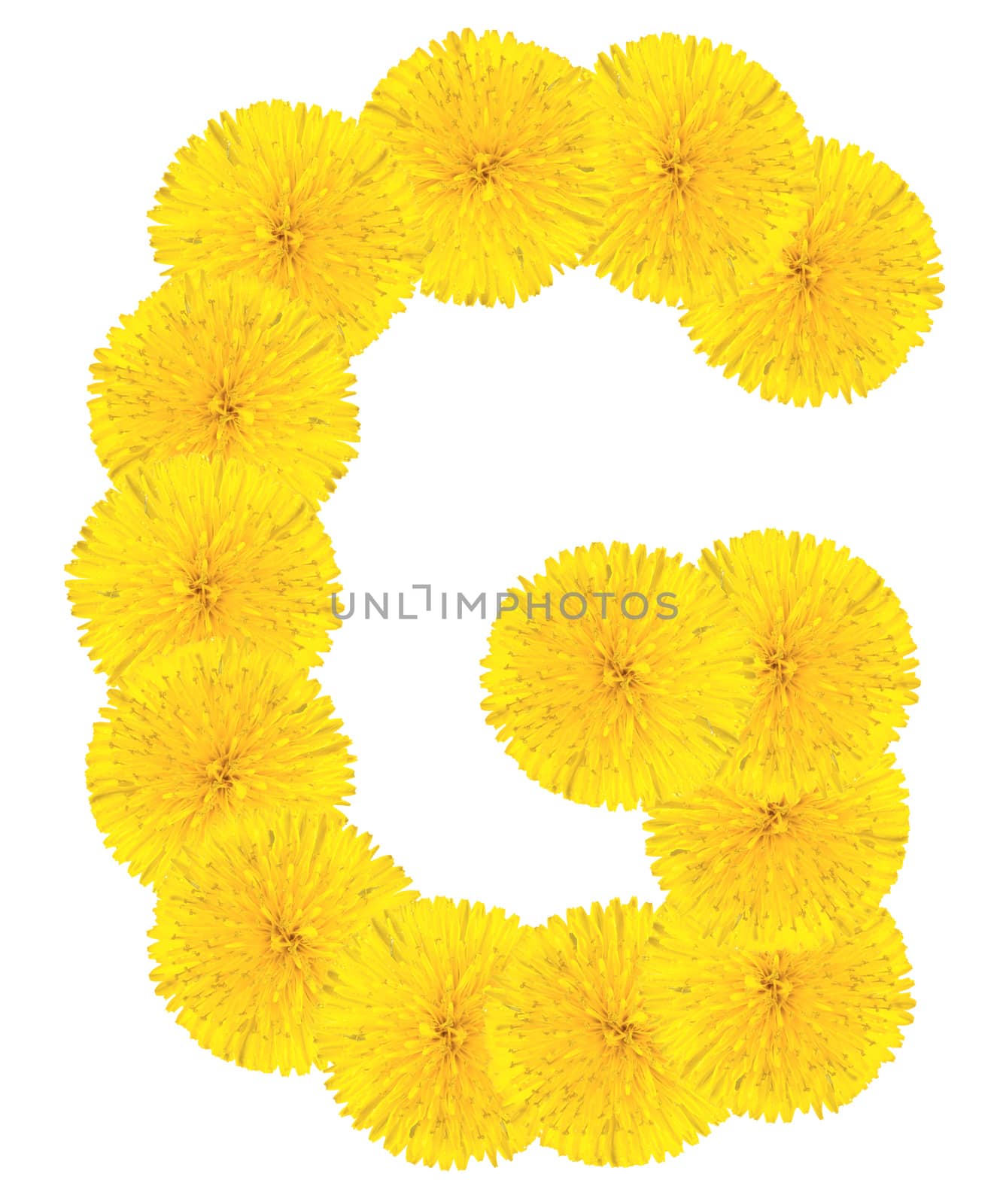 Letter G made from dandelions by Valengilda