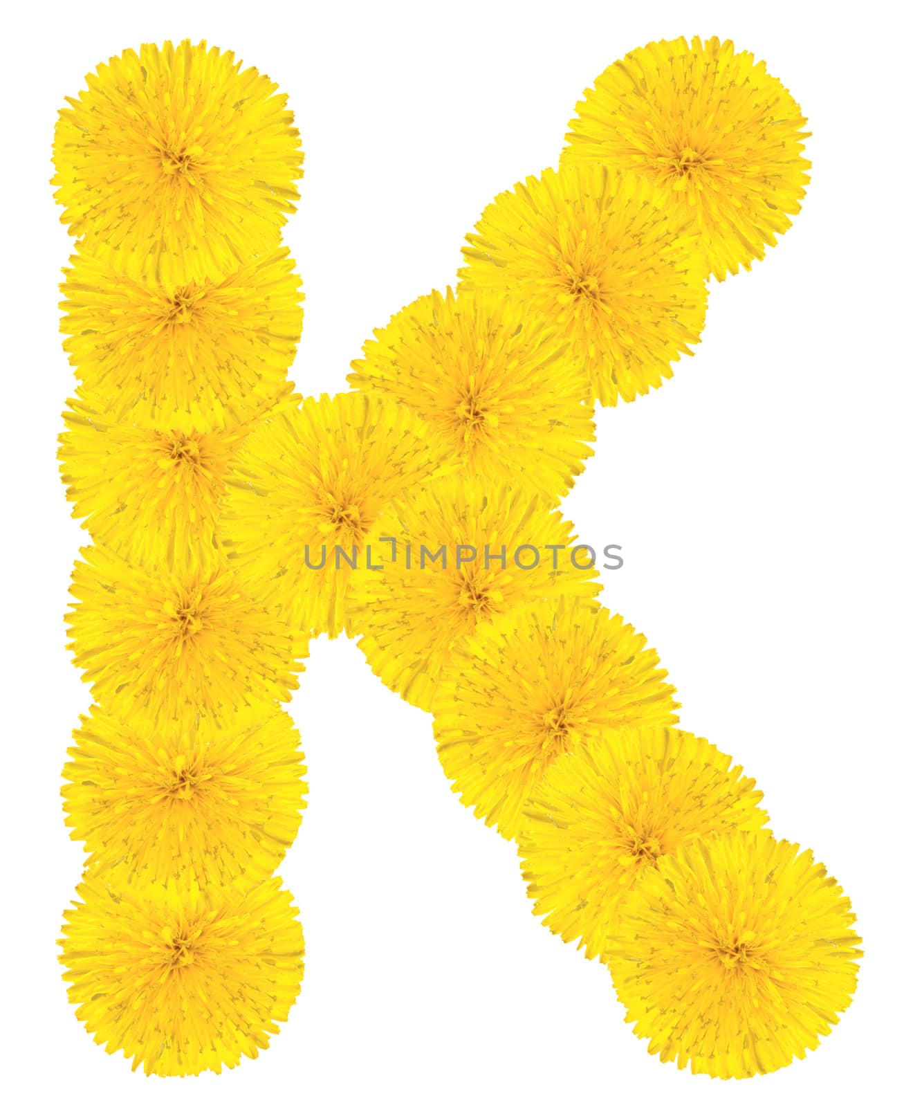 Letter K made from dandelions by Valengilda