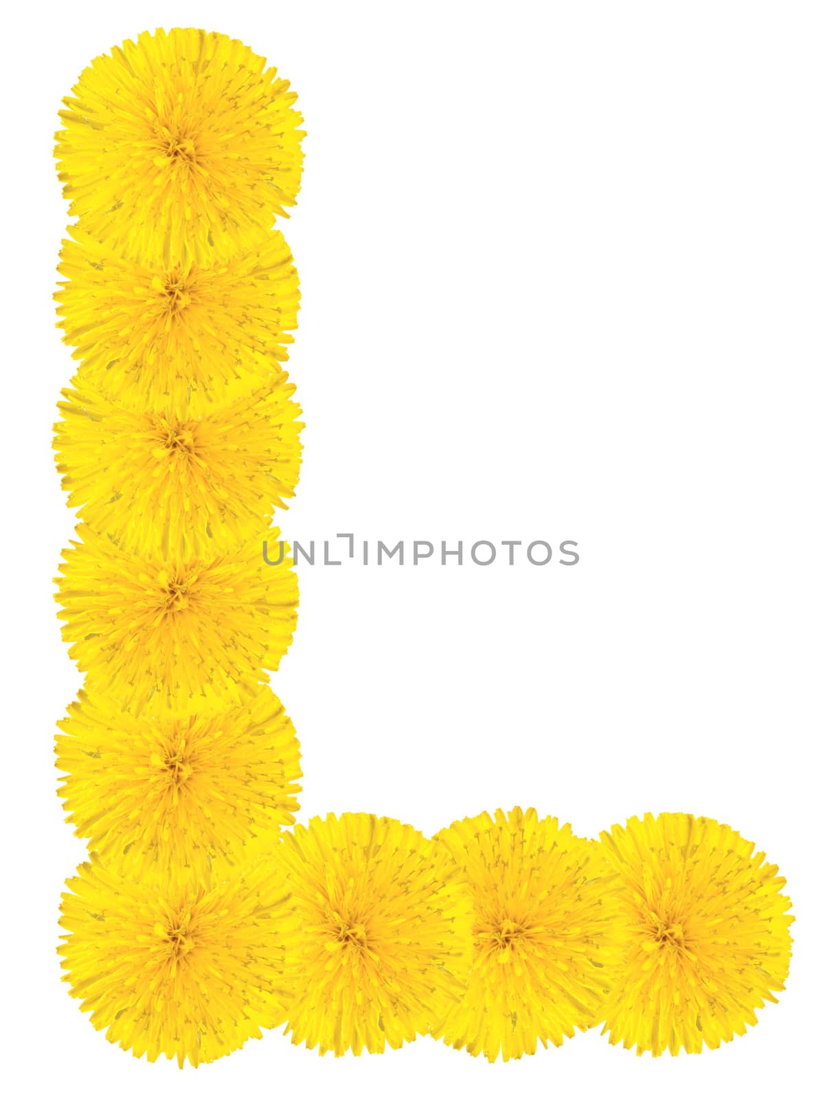 Letter L made from dandelions by Valengilda