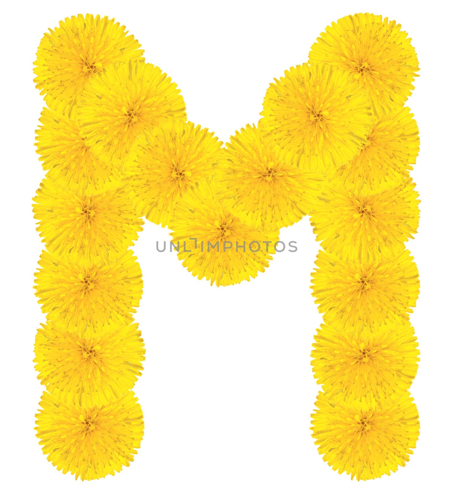 Letter M made from dandelions by Valengilda