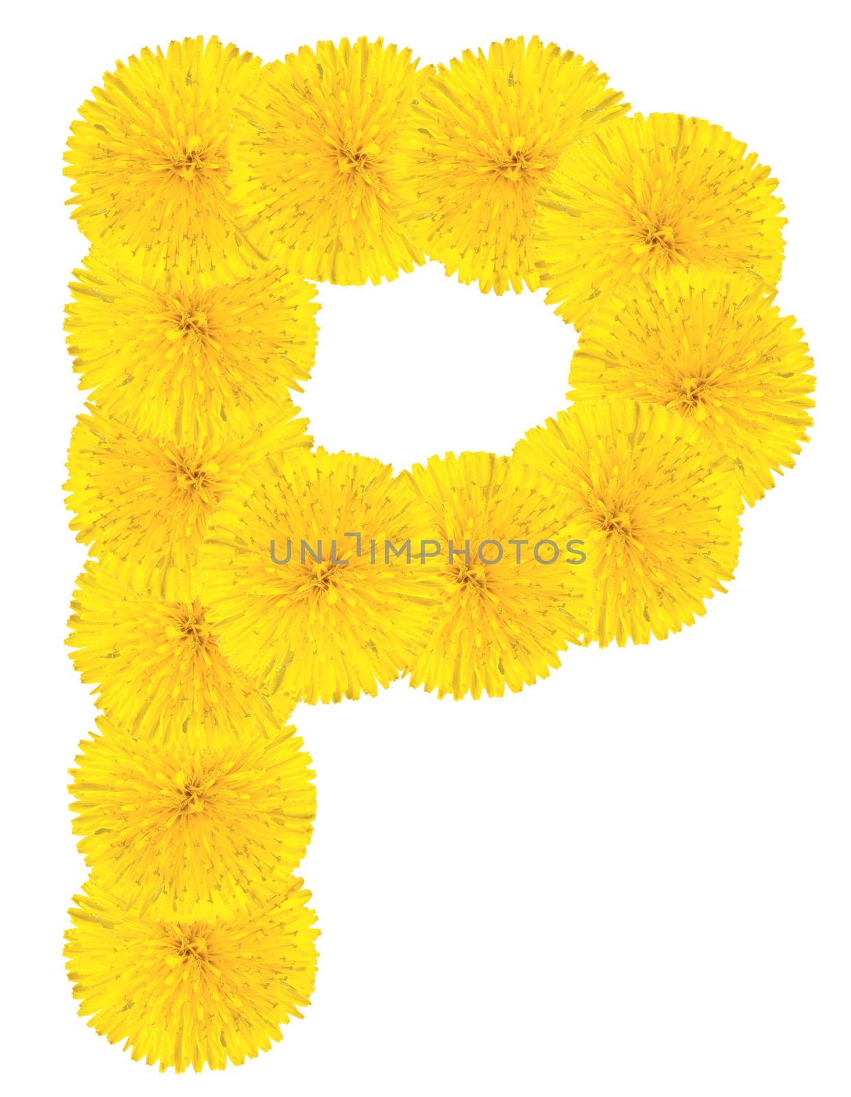 Letter P made from dandelions by Valengilda
