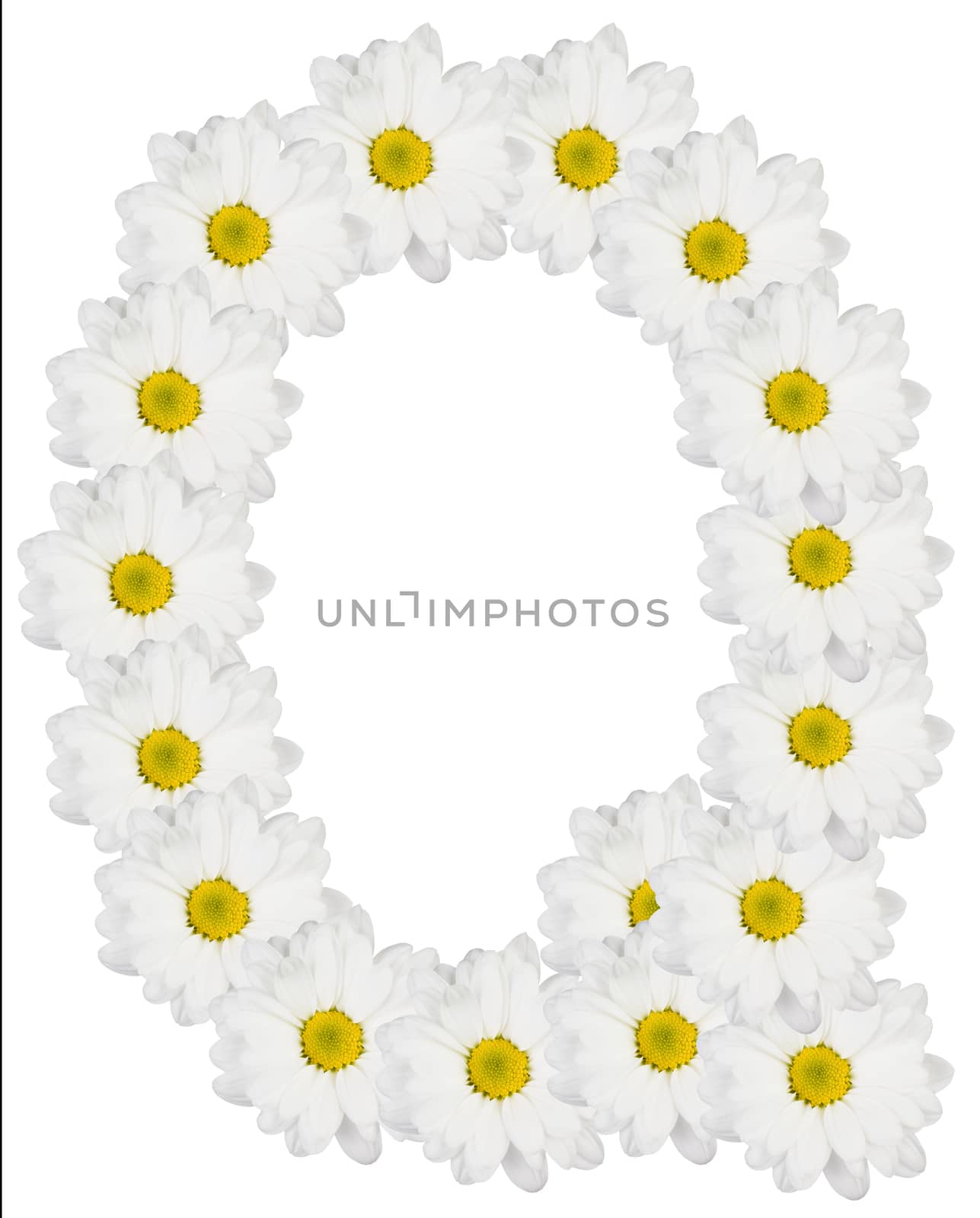 Letter Q made from white flowers