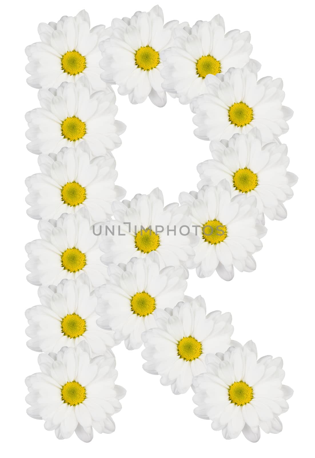 Letter R made from white flowers