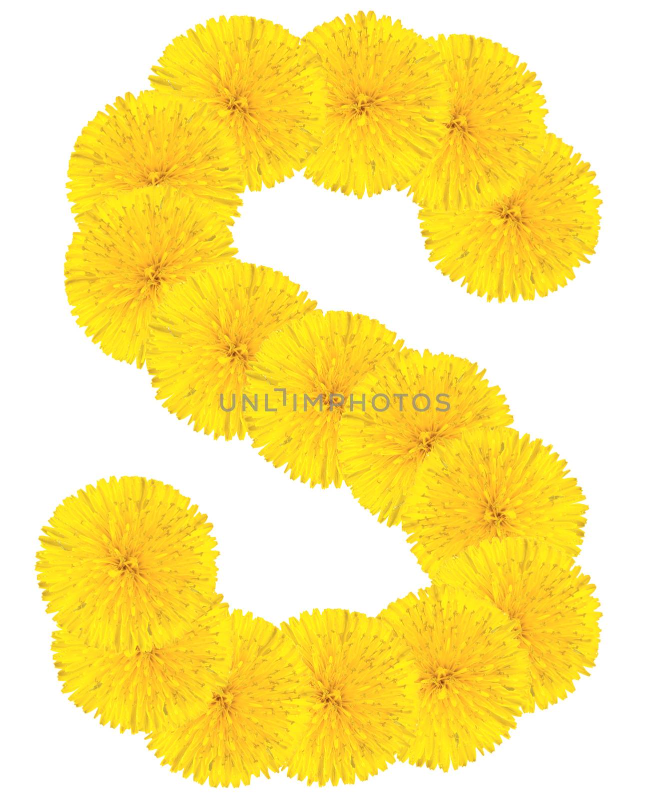 Letter S made from dandelions by Valengilda