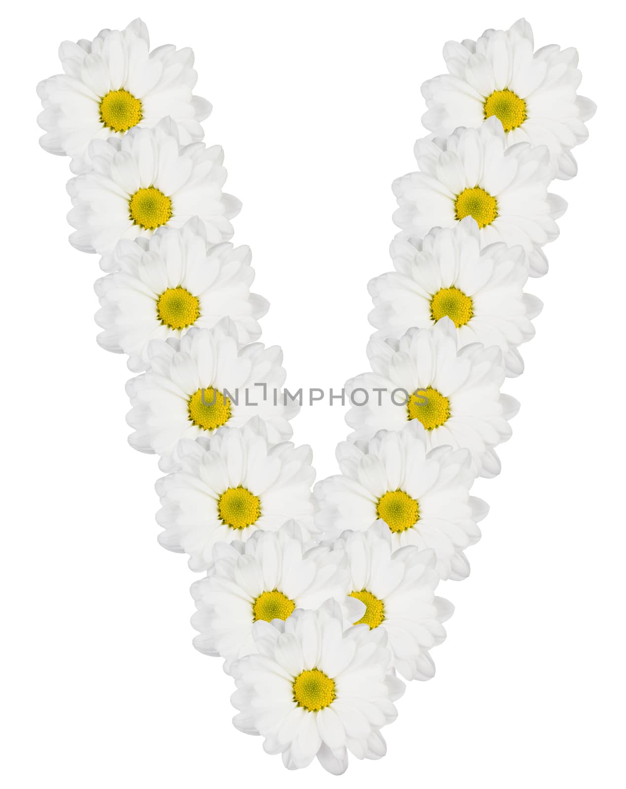 Letter V made from white flowers