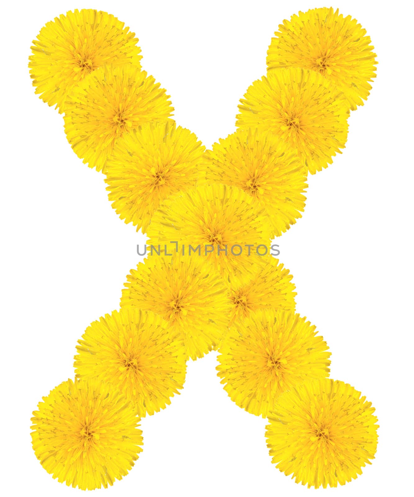 Letter X made from dandelions by Valengilda