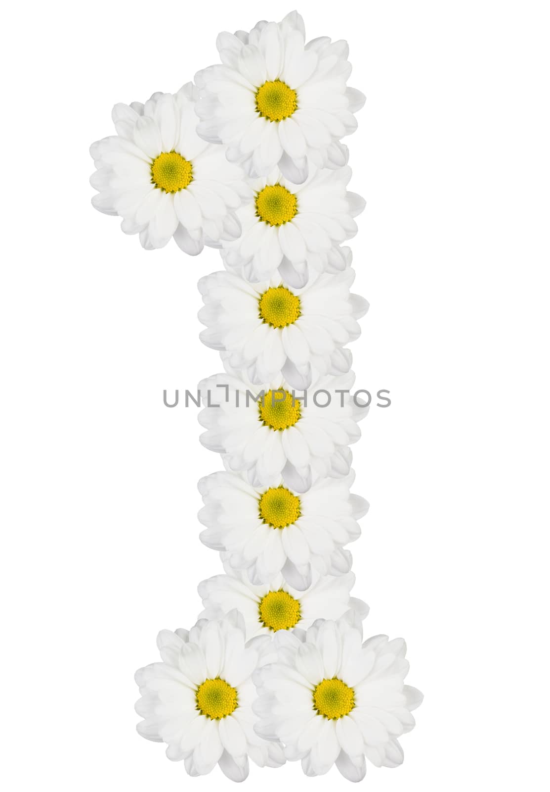 Number 1 made from white flowers