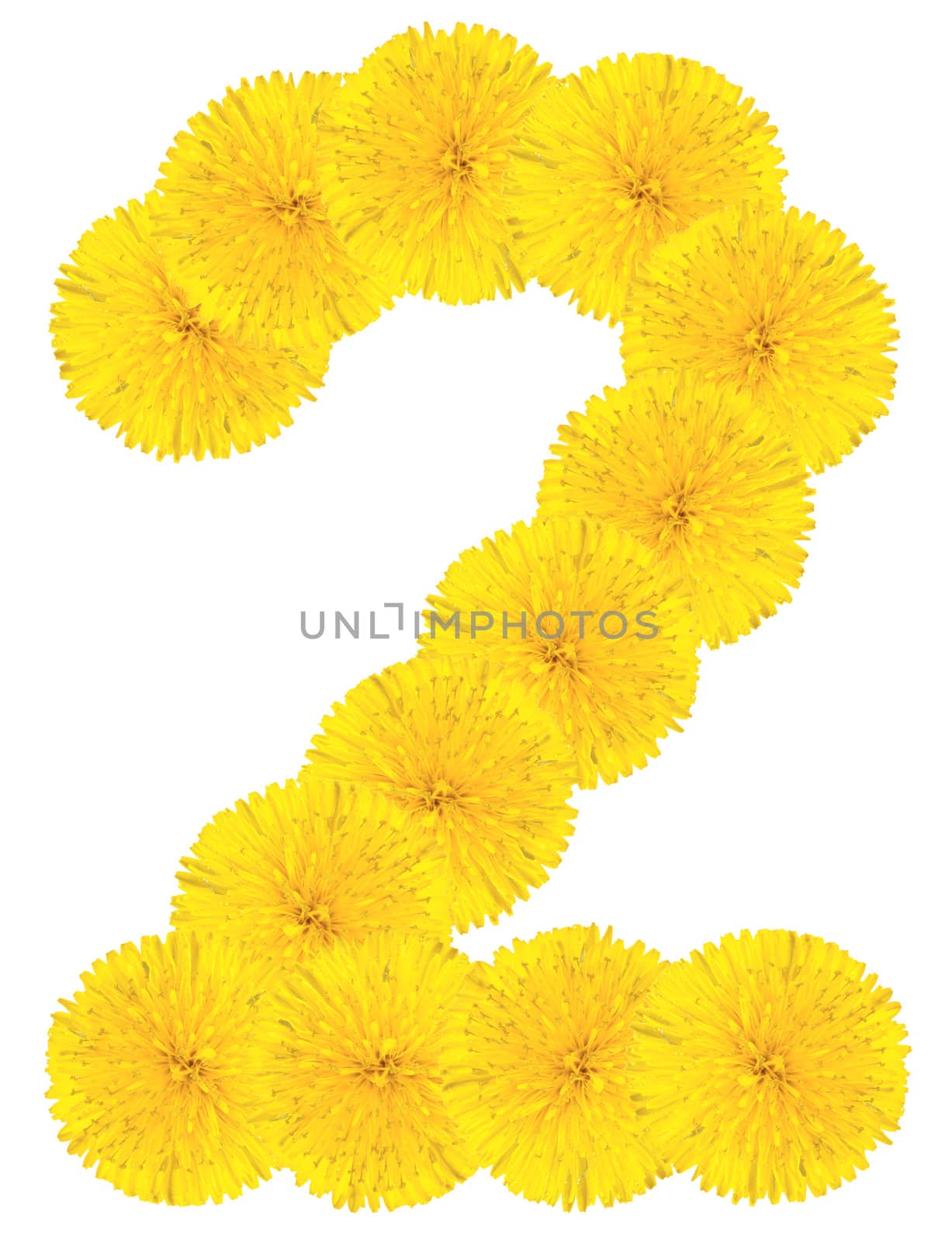 Number 2 made from dandelion flower isolated on white background