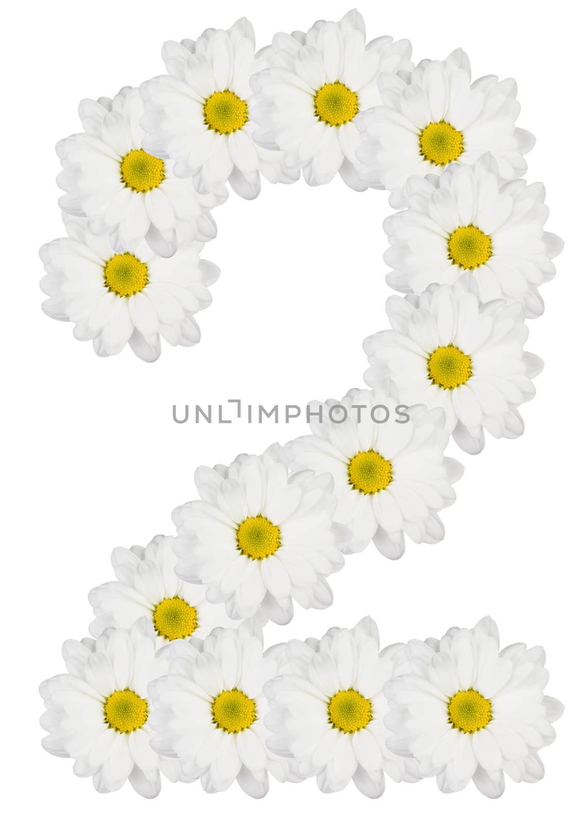 Number 2 made from white flowers
