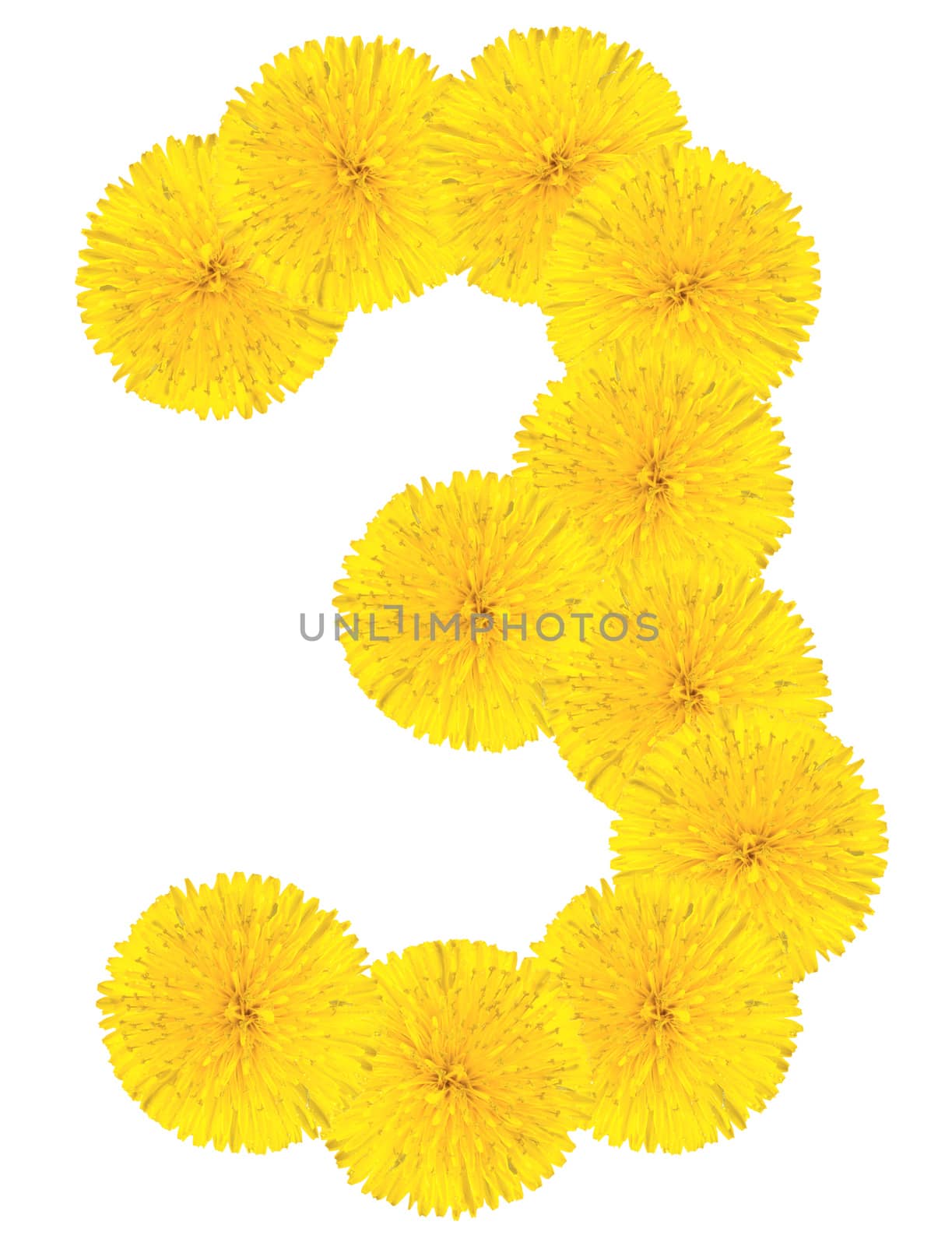 Number 3 made from dandelion flower isolated on white background