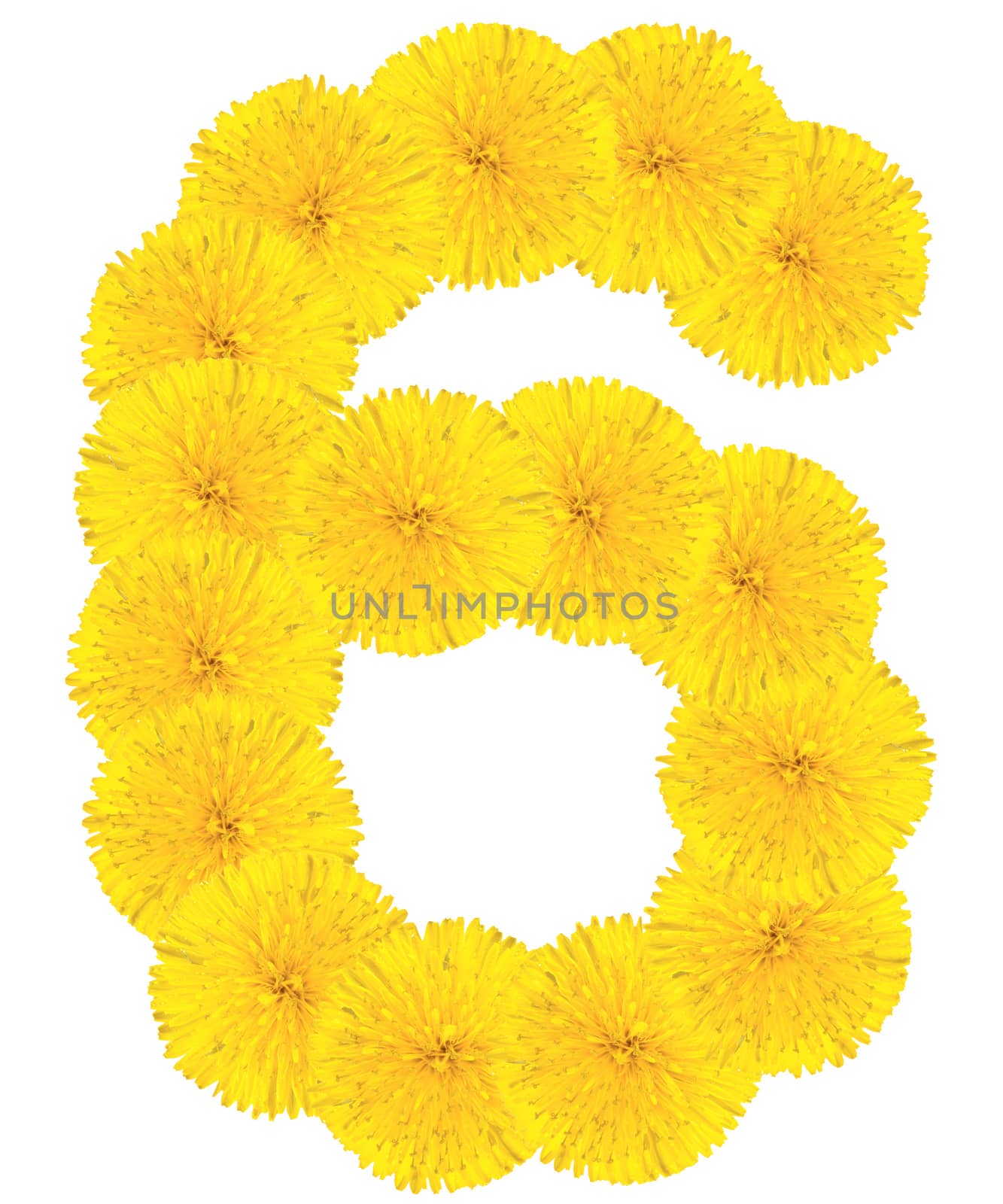Number 6 made from dandelion flower by Valengilda