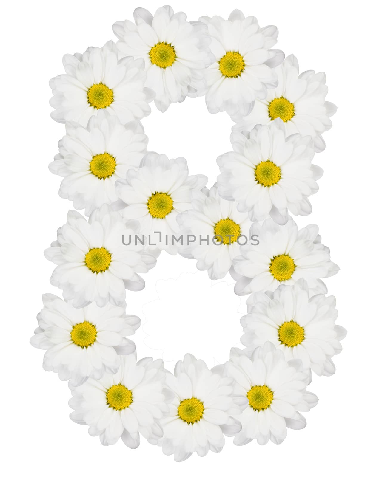 Number 8 made from flower isolated on white background