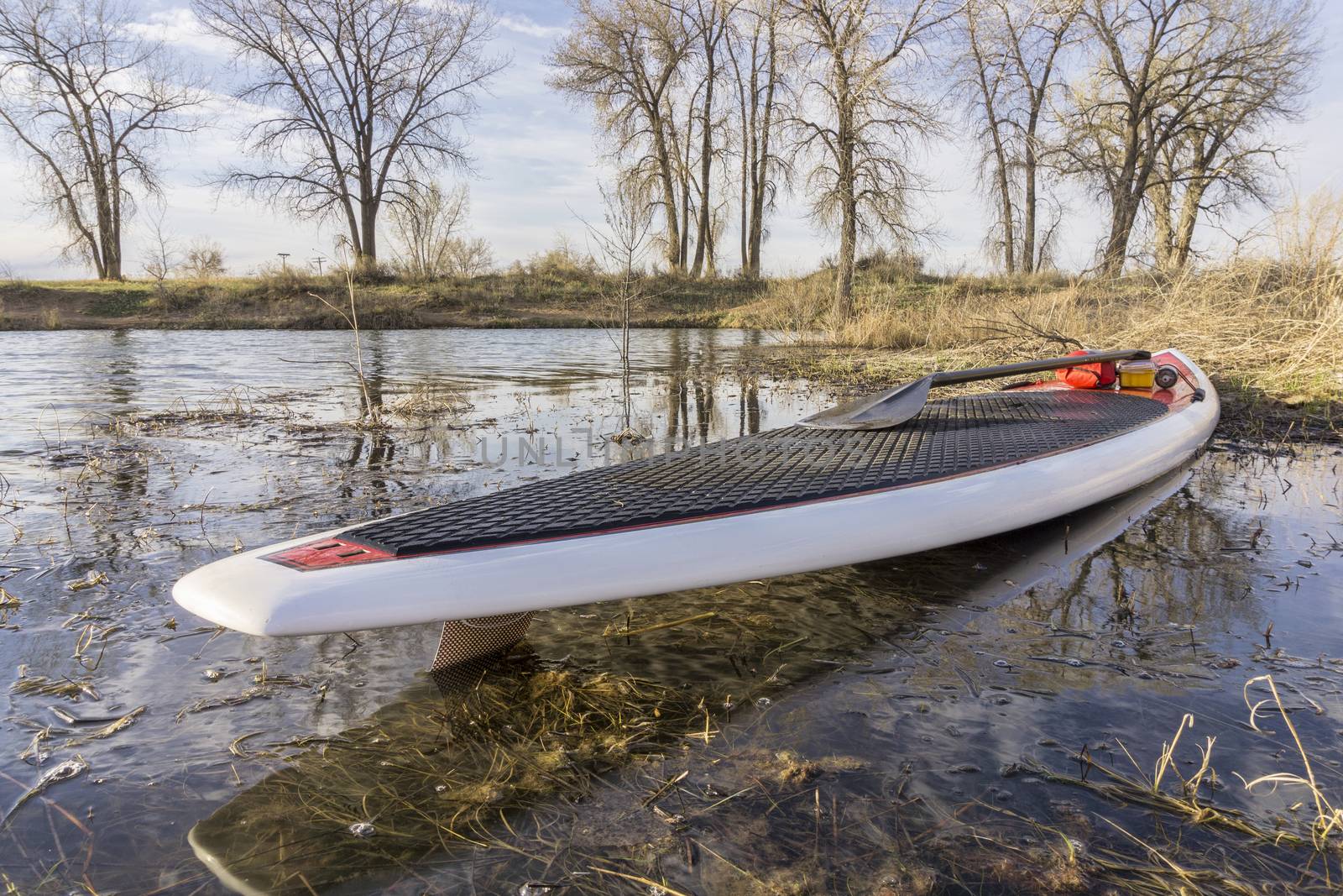 SUP paddleboard on lake shore by PixelsAway