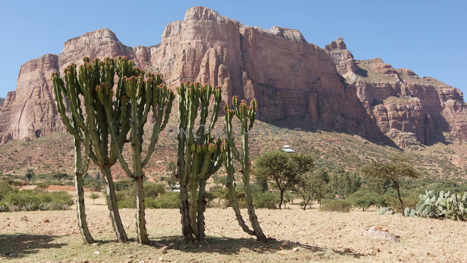 Landscape in Tigray province close to Adigrat, Ethiopia, Africa