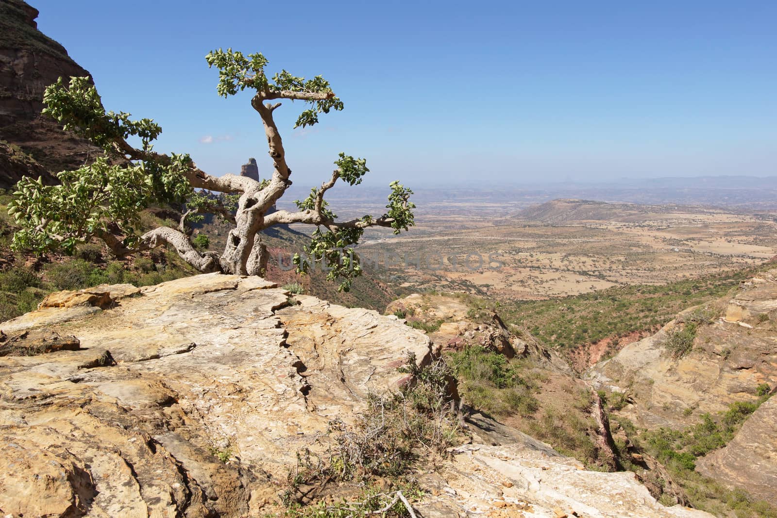 Landscape in Tigray province close to Adigrat, Ethiopia, Africa