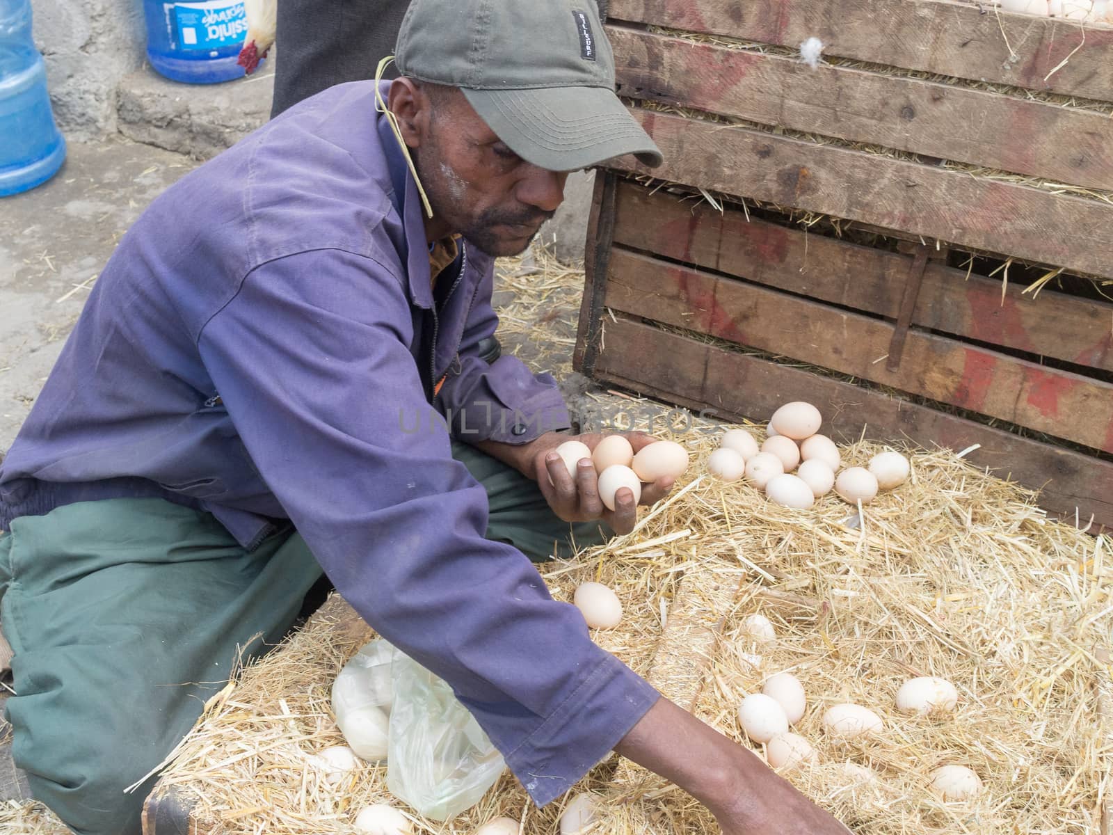 Addis Ababa: April 11: A man carefully inspects fresh farm eggs available for sale at a local market during Easter eve on April 11, 2015 in Addis Ababa, Ethiopia