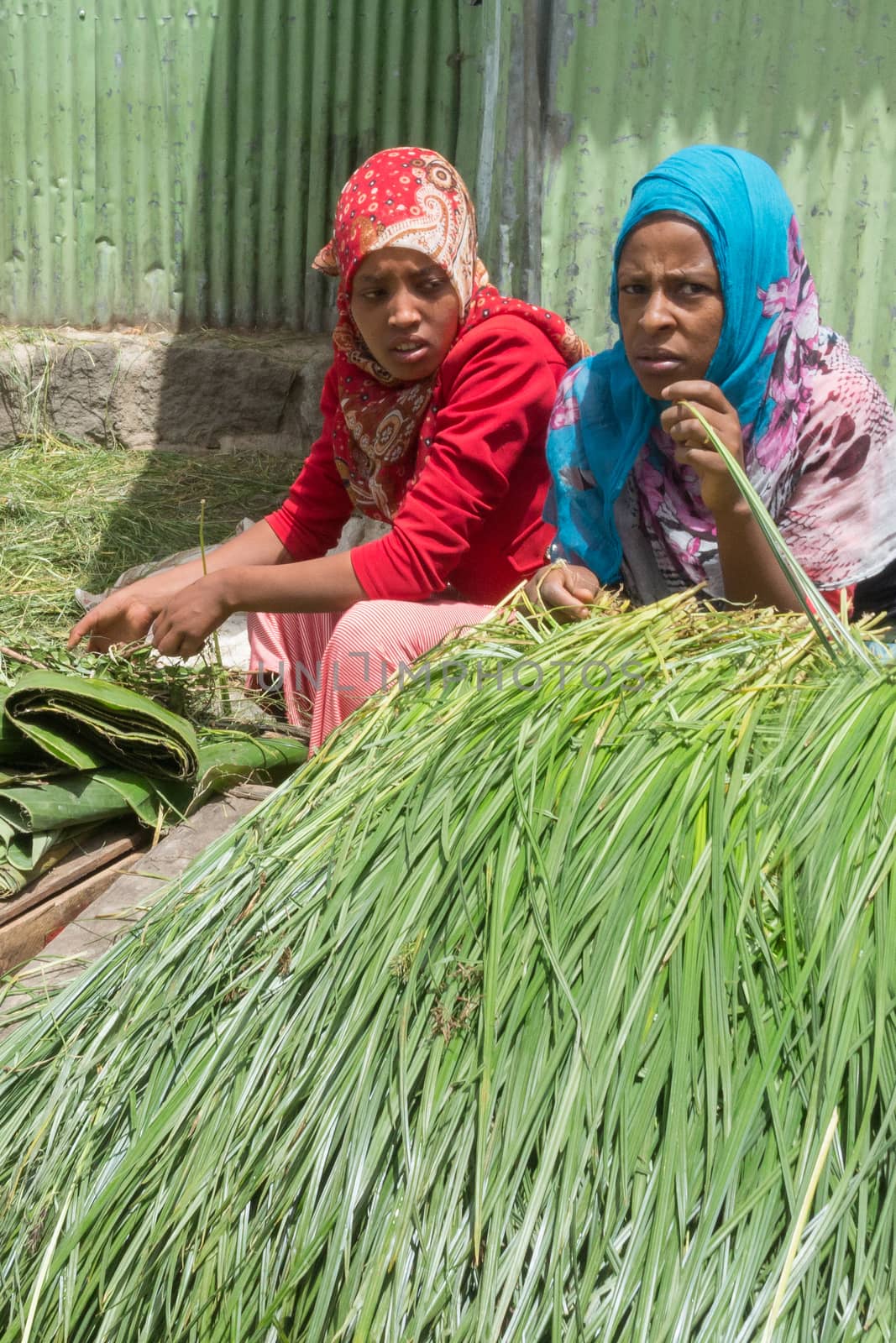 Addis Ababa: April 11: Freshly cut grass which used for decorating floors during the holidays available for sale at a local market during Easter eve on April 11, 2015 in Addis Ababa, Ethiopia