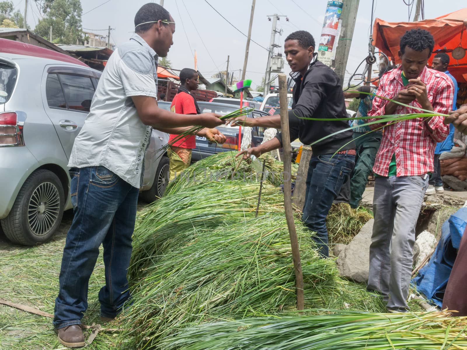Addis Ababa: April 11: Freshly cut grass which used for decorating floors during the holidays available for sale at a local market during Easter eve on April 11, 2015 in Addis Ababa, Ethiopia