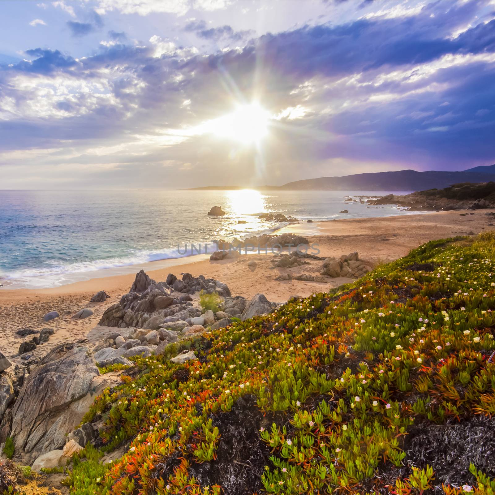 Beautiful colorful calm coastal landscape in spring on Corse, France, Europe.