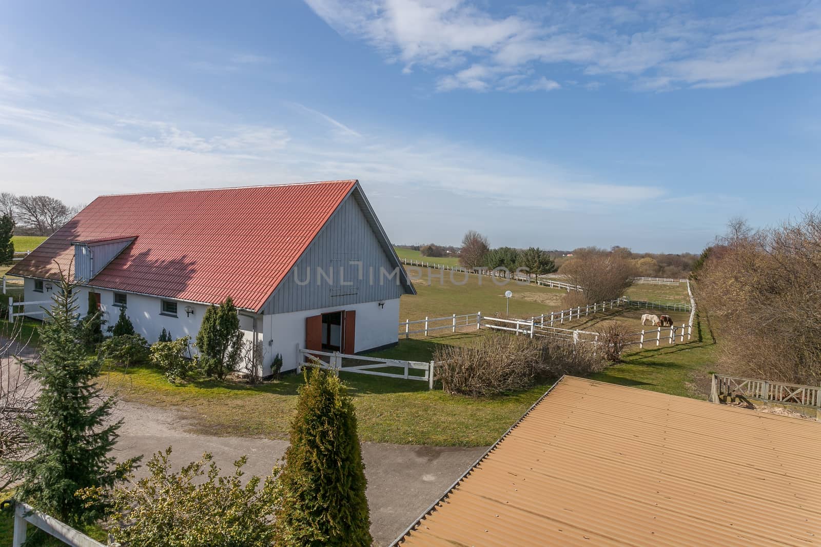 Traditional danish farm house and horse paddock in the sunshine