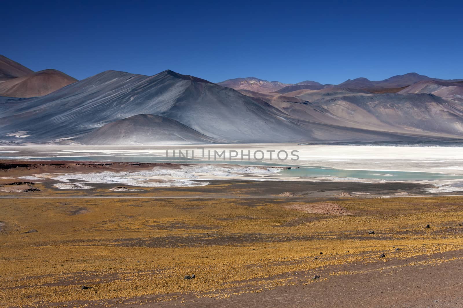 Alues Calientes high on the altiplano in the Atacama Desert in northern Chile. The white areas are deposits of salt.

