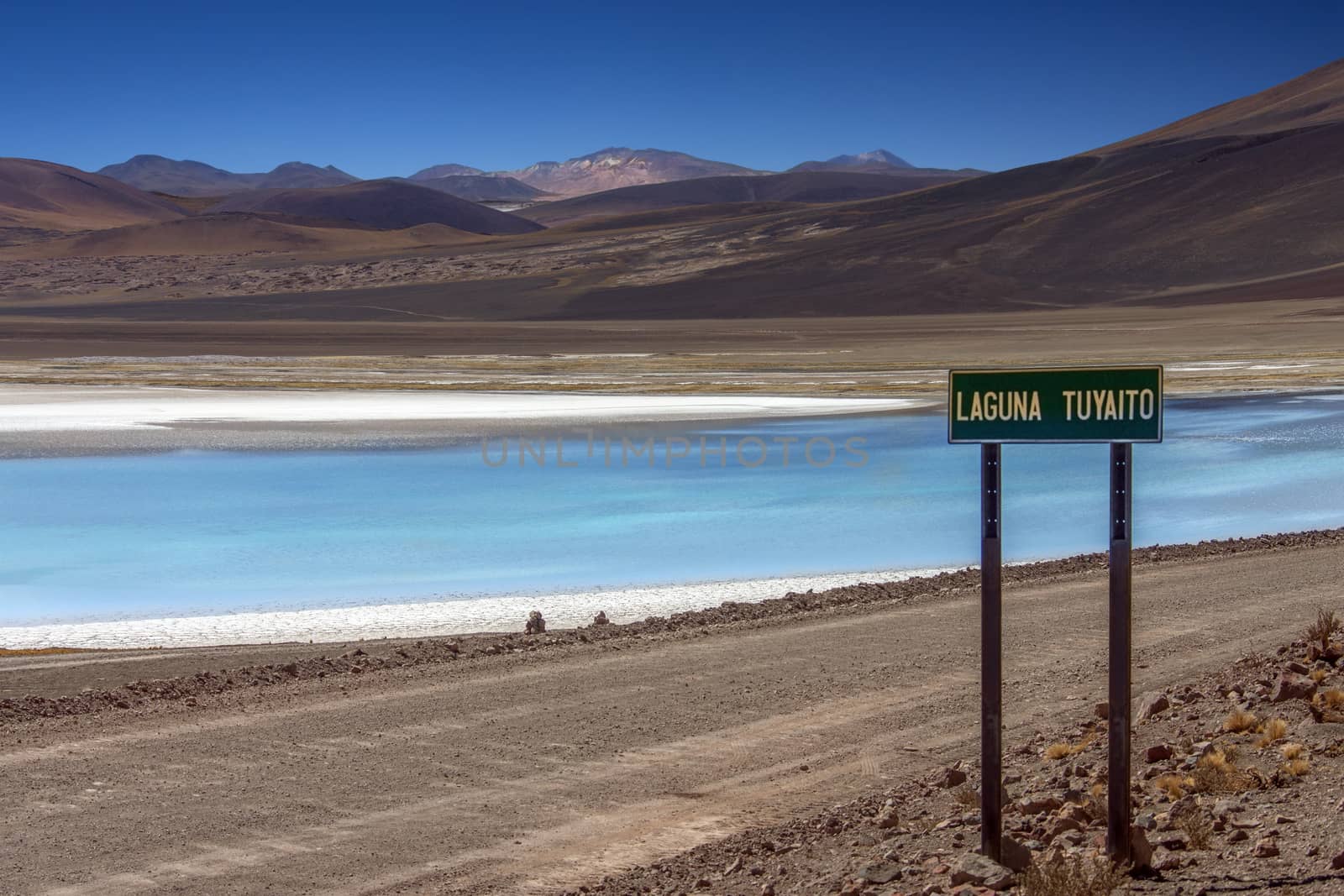 Laguna Tuyaito high on the altiplano in the Atacama Desert in northern Chile. 