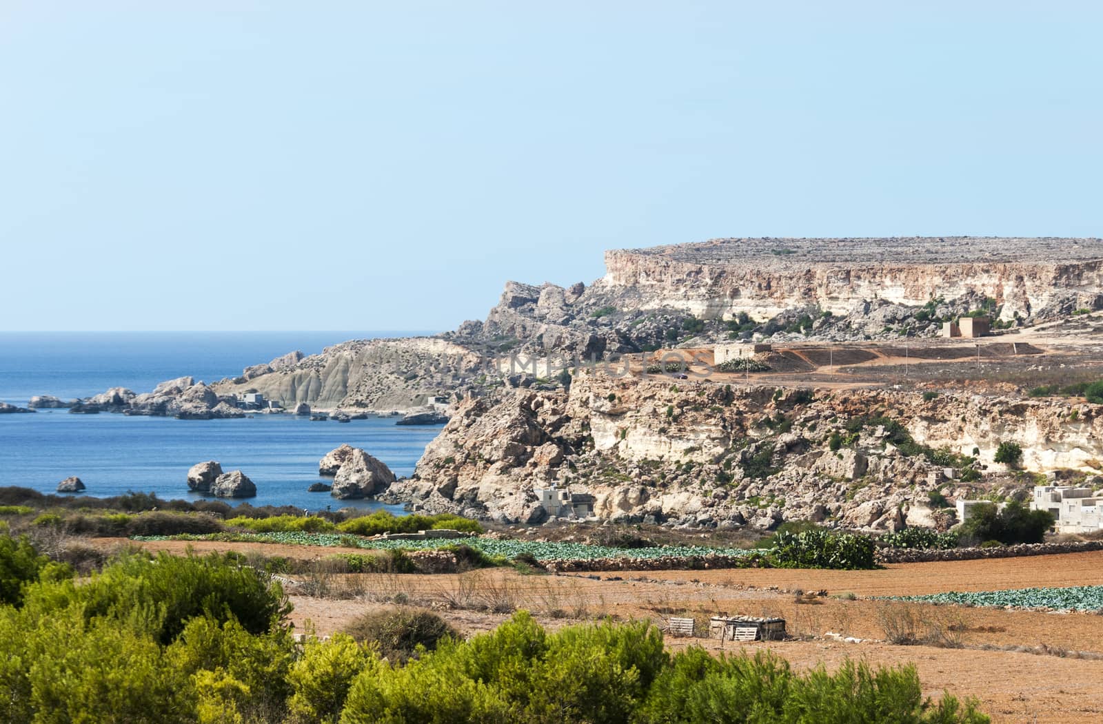 blue tropical ocean and big rocks with green plants in foreground on the spanish island Malta