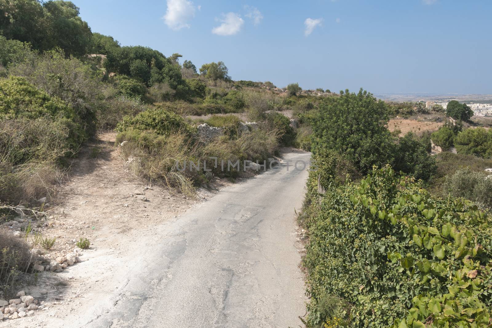 typical nature with dry lands and green lants on the spanish island Malta