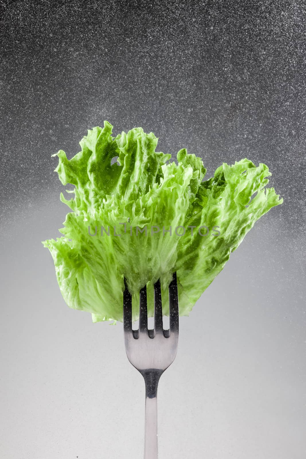 Green lettuce leaves on a fork on gray background
