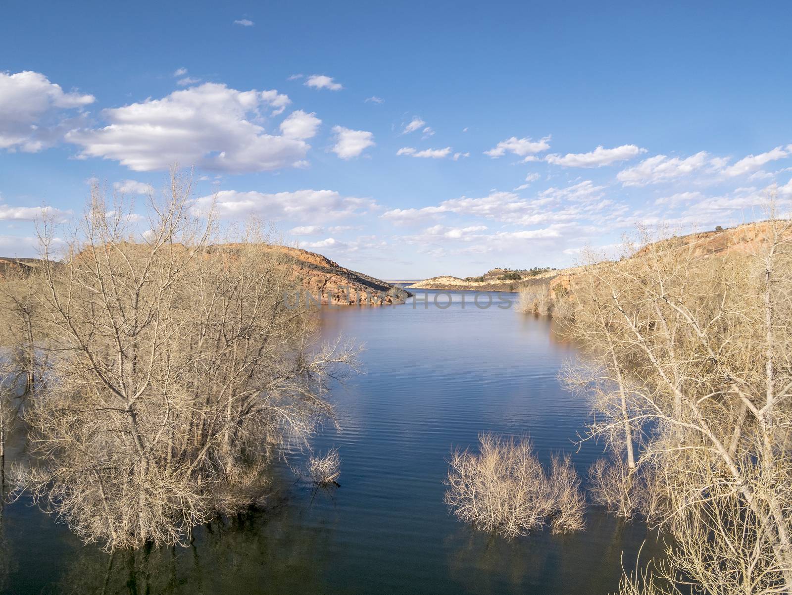 aerial view of Horsetooth Reservoir in Fort Collins, Colorado - early spring scenery with high water level and submerged cottonwood trees