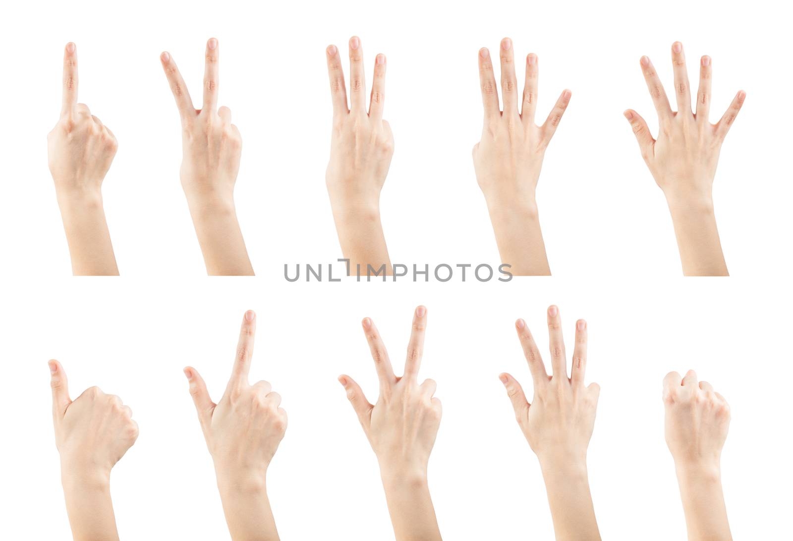 Set female hands gestures making a numbers  by papound
