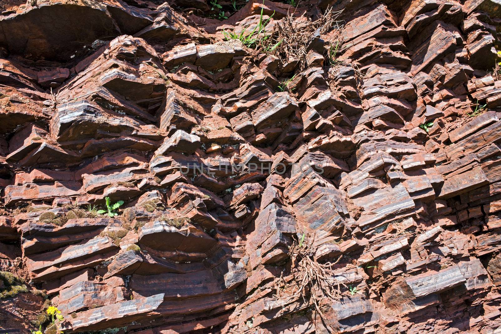 Fragment of shale rock by Krakatuk