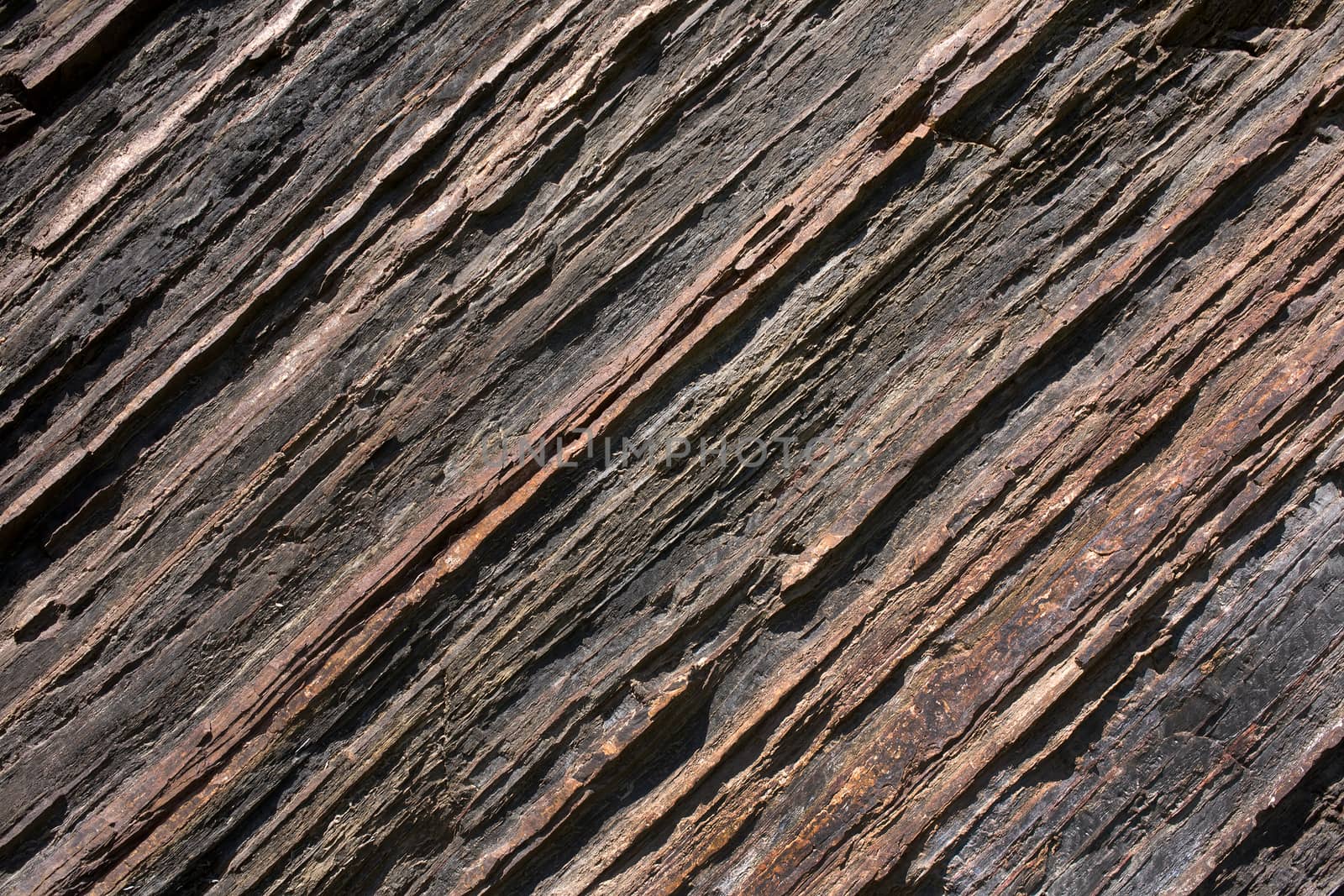 The texture of shale rock by Krakatuk
