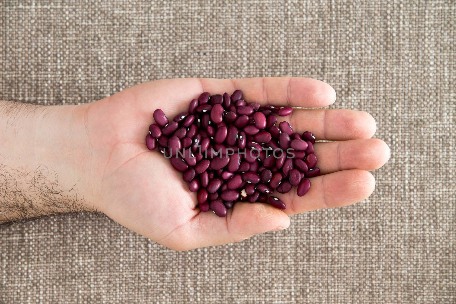 Man displaying small deep red kidney beans by coskun